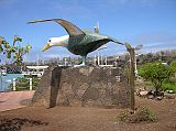 Galapagos 5-1-10 Puerto Ayora Waved Albatross Statue
